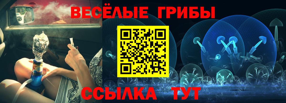 Северобайкальск  Псилоцибиновые грибы Magic Shrooms  Псилоцибиновые грибы мухоморы  Вход с VPN 