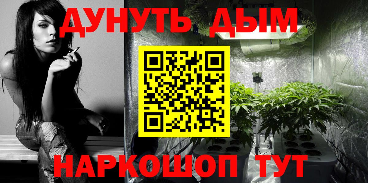 Марихуана сатива  Вход с VPN  Марихуана план  Бошки Шишки сатива  Северобайкальск 